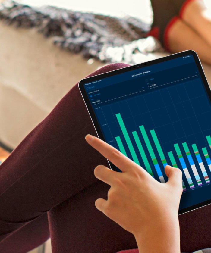 So verteilt der Energiemanager Ihren Solarstrom optimal