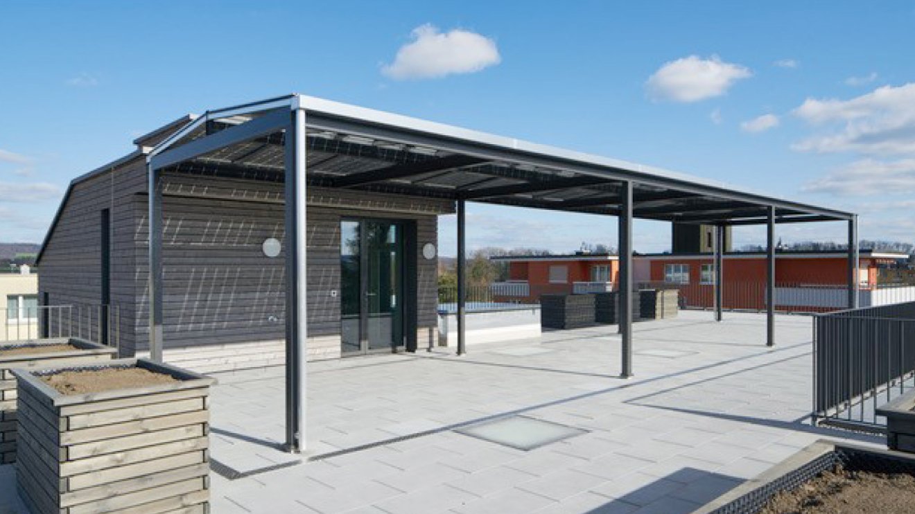 Sonnenstrom von der Pergola