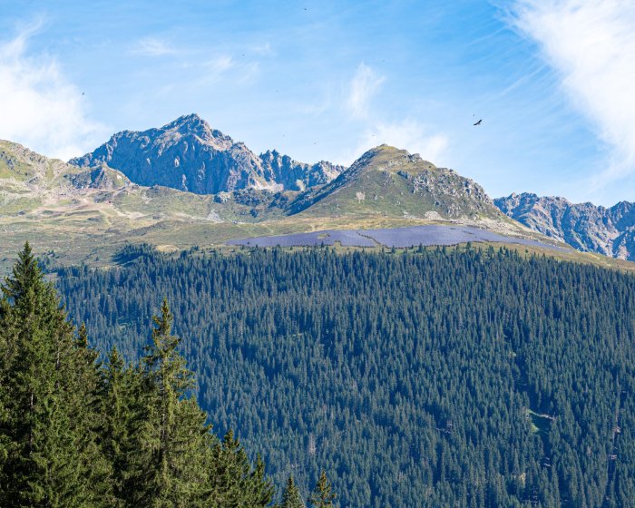 Madrisa Solar – alpines Solarkraftwerk