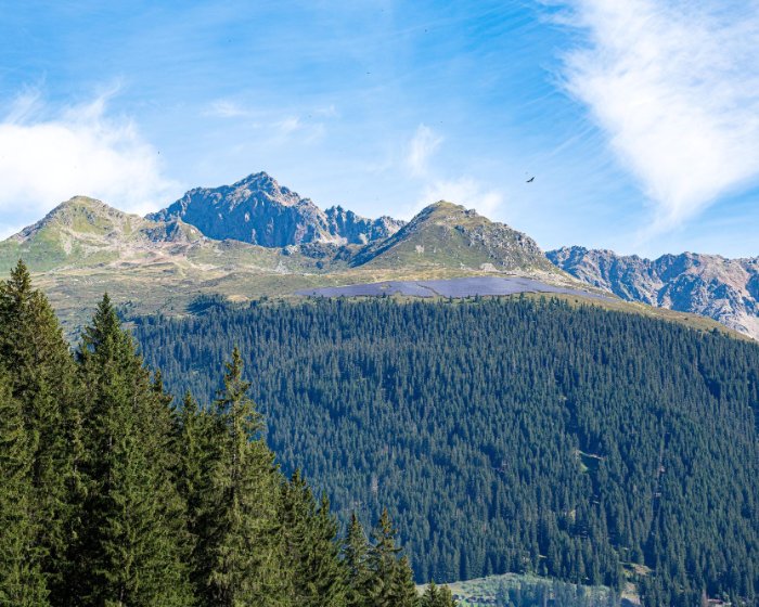 Madrisa Solar – alpines Solarkraftwerk