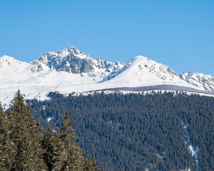 Madrisa Solar – alpines Solarkraftwerk