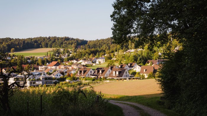 Ein Stromnetz, das mitdenkt
