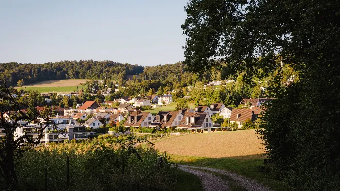 Ein Stromnetz, das mitdenkt