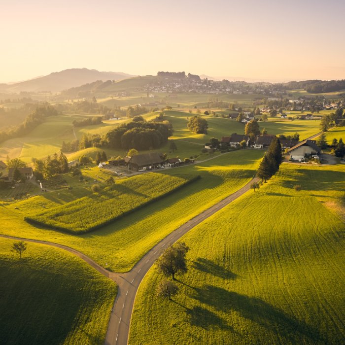 Flexibles Energiesystem: Günstiger Solarstrom clever genutzt 