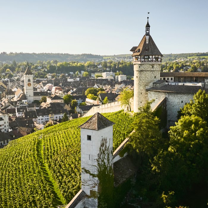 Unterwegs zwischen Rhein und Munot