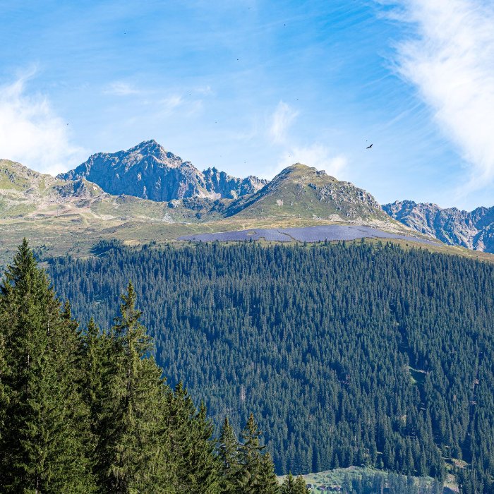 Madrisa Solar