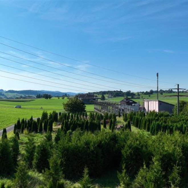 Günstigere EKZ-Stromtarife im 2026 